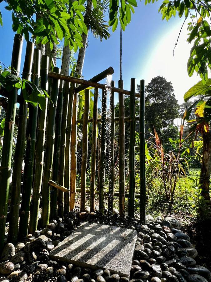 Whispering Wisdom Villa Cahuita Exterior foto